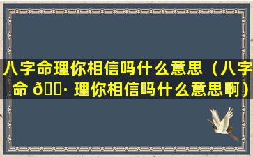 八字命理你相信吗什么意思（八字命 🌷 理你相信吗什么意思啊）